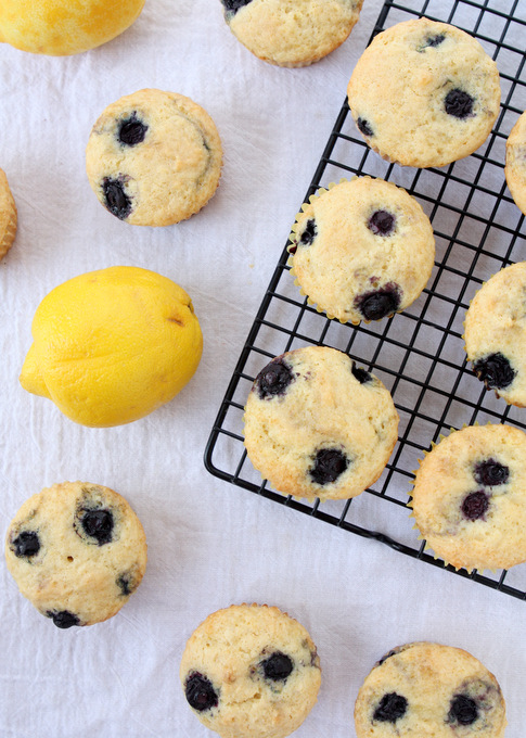 Lemon Blueberry Muffins | thekitchenpaper.com