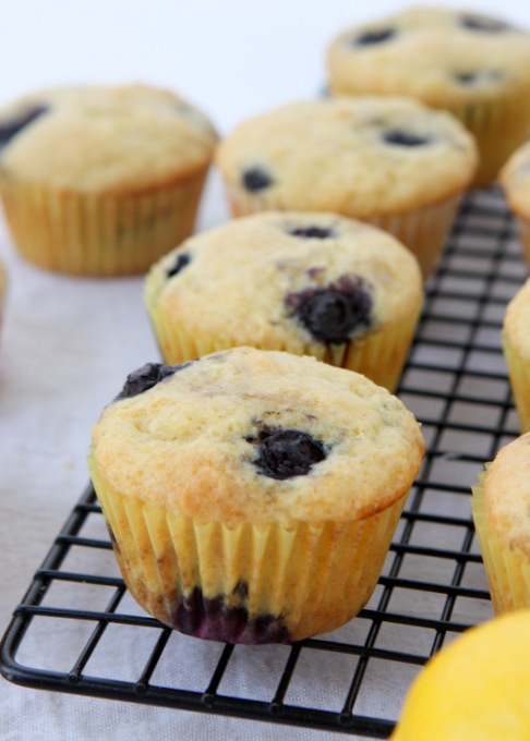 Lemon Blueberry Muffins | thekitchenpaper.com