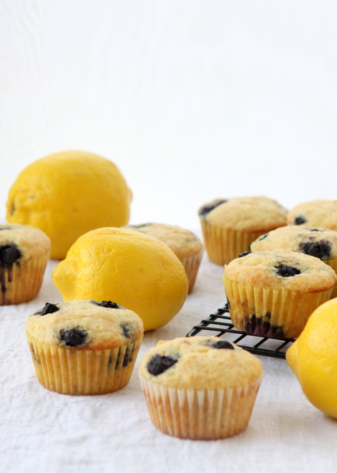 Lemon Blueberry Muffins | thekitchenpaper.com