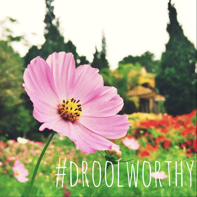 #droolworthy | thekitchenpaper.com