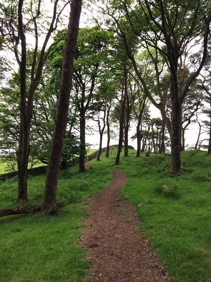 Hadrian's Wall Hike | thekitchenpaper.com