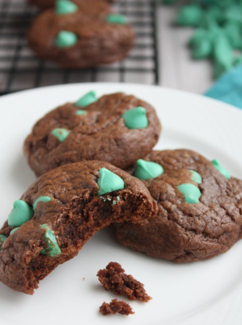 chocolate mint chip cookies