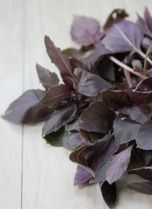 purple basil caprese salad