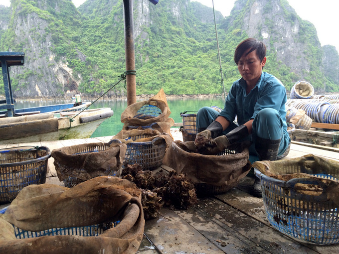 Vietnam: Ha Long Bay Recap | thekitchenpaper.com