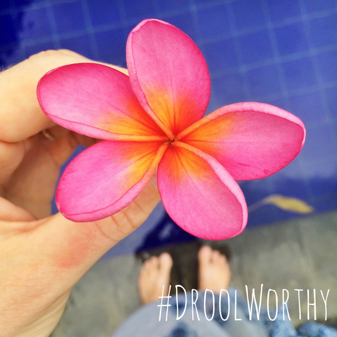 #DroolWorthy | thekitchenpaper.com