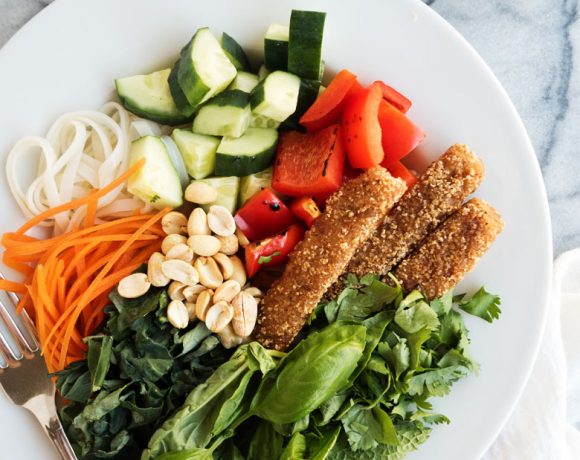 Thai Fish Stick Noodle Bowls | The Kitchen Paper